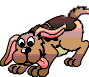 Cane cercatore